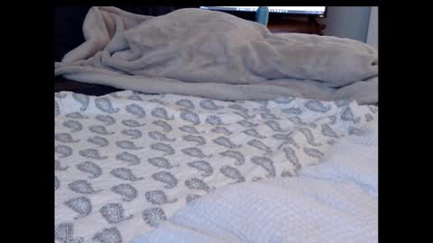 Funtimz16 online show from February 2025 08:34:02 PM