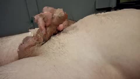 Snapshot of gabriel669 chatting on October 2025 08:55:01 AM gabriel669 online show from October 2025 08:55:01 AM