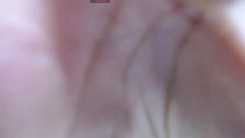 .  online show from December 2024 05:31:02 AM