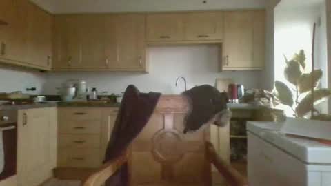 Snapshot of galacx chatting on February 2025 04:48:02 PM galacx online show from February 2025 04:48:02 PM