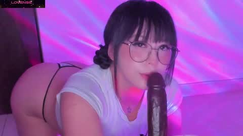 PROXIMO SHOW NOVIEMBRE 16   NEXT SHOW NOVEMBER  16    online show from January 2025 12:57:01 AM