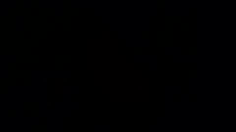 Snapshot of gardener666 chatting on January 2025 10:57:01 PM Gard online show from January 2025 10:57:01 PM