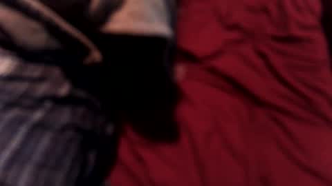 Snapshot of gdawg95 chatting on February 2026 03:40:02 PM Gbaby online show from February 2026 03:40:02 PM