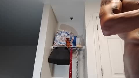 Zanecubano online show from September 2025 09:53:02 AM