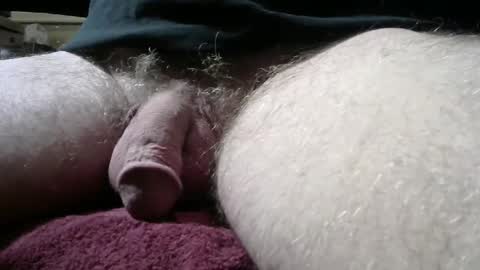 gemini_2 online show from March 2025 02:23:02 PM