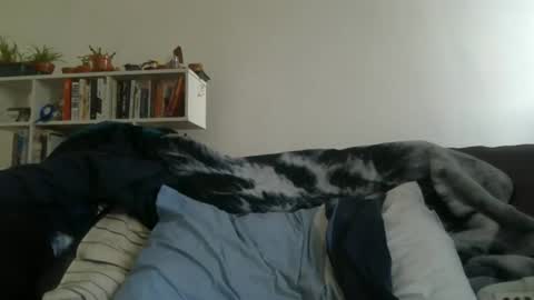 Geon online show from March 2026 07:25:02 AM