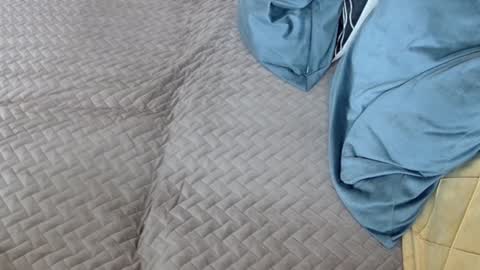 Snapshot of georgiapeachgirl chatting on February 2026 11:29:01 AM Melissa online show from February 2026 11:29:01 AM