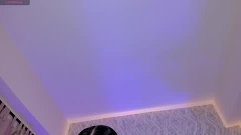 Kendal  online show from February 2026 11:31:02 AM