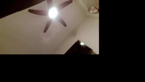 gestionescorreo155 online show from May 2026 04:08:02 AM