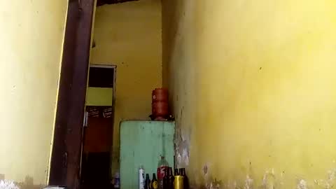 Gaby online show from October 2025 05:13:01 PM