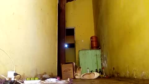 Gaby online show from November 2025 06:50:01 PM