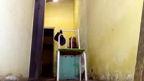 Snapshot of ghabriel7777788 chatting on February 2026 02:58:01 PM Gaby online show from February 2026 02:58:01 PM