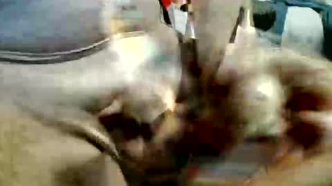 ghost1805 online show from November 2025 10:53:02 PM