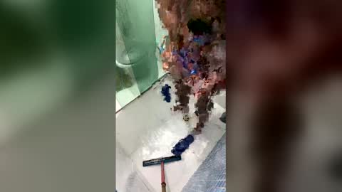 gifted online show from April 2026 07:00:01 AM