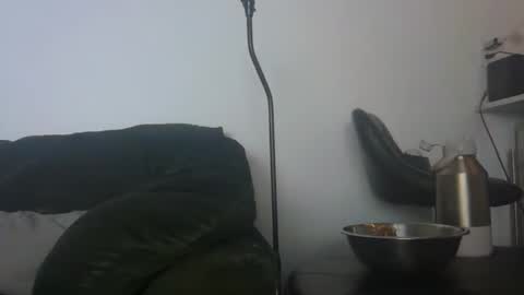 Snapshot of gildedsins1 chatting on February 2026 06:33:02 AM WildBoyVibes online show from February 2026 06:33:02 AM