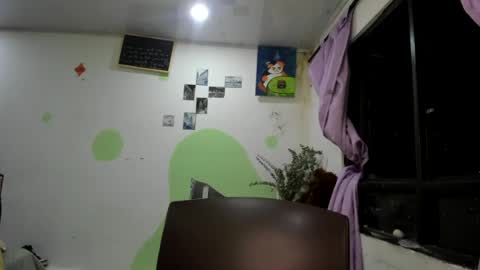 Snapshot of ginger_sweetty chatting on July 2026 12:47:02 AM Ginger online show from July 2026 12:47:02 AM
