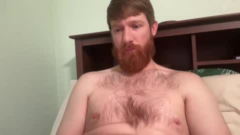 Snapshot of gingermania10 chatting on December 2024 07:40:02 PM gingermania10 online show from December 2024 07:40:02 PM