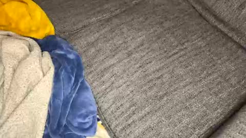 gingerrslut online show from March 2026 08:54:02 AM