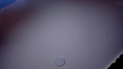 GIOMAR REYES online show from June 2026 08:52:01 PM