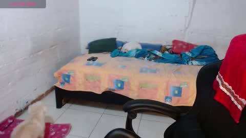 Snapshot of giorgia_xue53 chatting on December 2024 04:54:02 AM Mary online show from December 2024 04:54:02 AM