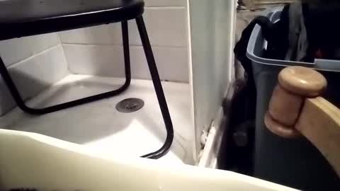 lovegirlscallme online show from December 2025 07:30:02 PM