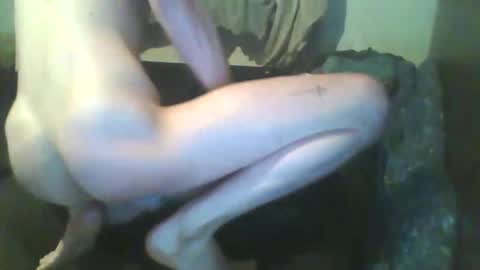 girthdoctor online show from December 2025 01:02:02 AM