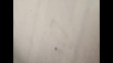 Snapshot of gman3883 chatting on January 2025 07:38:02 PM Gman online show from January 2025 07:38:02 PM