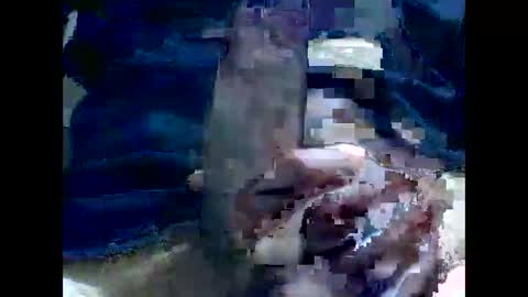 PencilDick online show from December 2024 08:30:01 AM