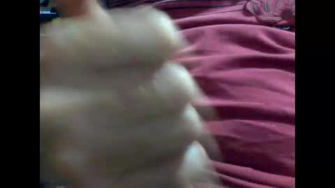 PencilDick online show from February 2025 08:54:02 AM