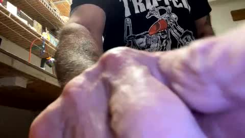 gngnxxx online show from October 2025 04:45:01 AM