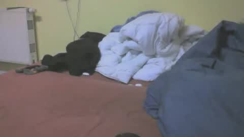 gnz310388 online show from March 2026 07:20:02 PM