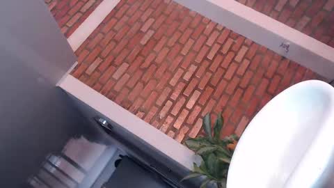 daniela online show from November 2025 06:06:01 PM