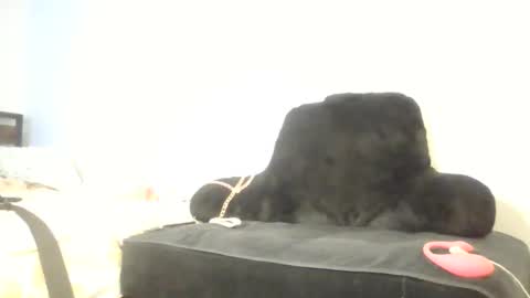 goddessdiiamond online show from May 2026 04:52:02 AM