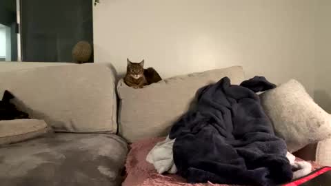 GoddessMayvn online show from February 2025 07:15:01 AM