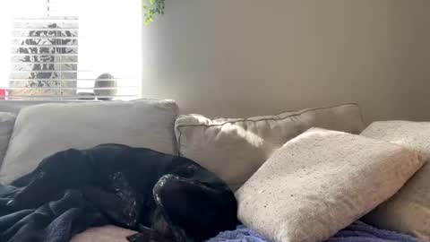 GoddessMayvn online show from February 2025 09:52:02 PM