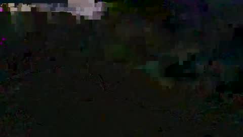 godonsin online show from December 2024 02:28:02 PM