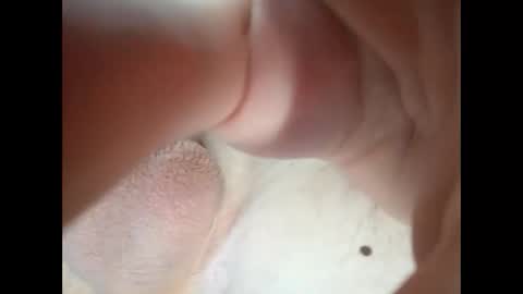 18teenhorny online show from January 2026 08:19:01 AM