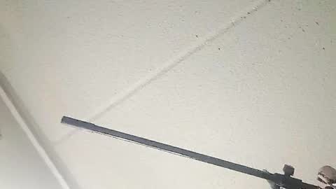 Taffy and Rmurda online show from March 2026 10:19:01 AM