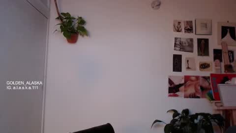 Snapshot of golden_alaska chatting on October 2025 11:21:01 AM Alaska online show from October 2025 11:21:01 AM