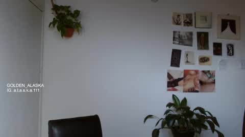 Snapshot of golden_alaska chatting on November 2025 08:07:01 PM Alaska online show from November 2025 08:07:01 PM