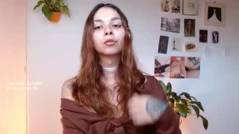 Snapshot of golden_alaska chatting on November 2025 11:54:01 AM Alaska online show from November 2025 11:54:01 AM