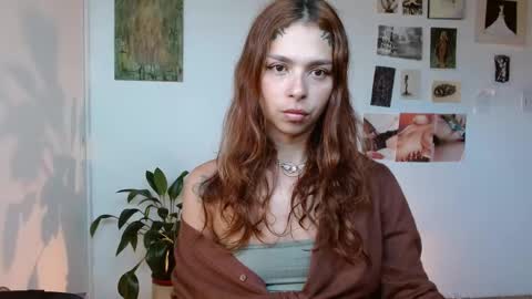 Snapshot of golden_alaska chatting on January 2026 01:04:01 PM Alaska online show from January 2026 01:04:01 PM