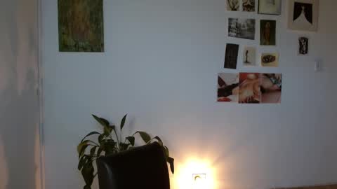 Snapshot of golden_alaska chatting on February 2026 12:15:02 PM Alaska online show from February 2026 12:15:02 PM