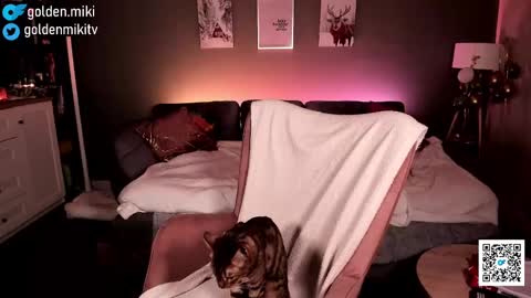 Shy in the streets but a freak in the sheets online show from February 2025 06:15:01 AM