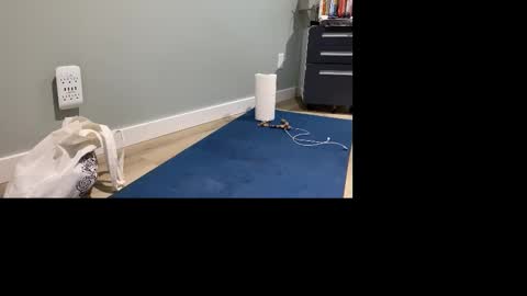 GoshLover online show from November 2025 05:01:02 PM