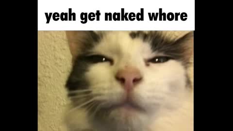 Amy online show from March 2025 12:26:02 AM