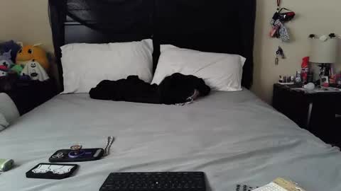 Snapshot of gothbaby305 chatting on October 2025 01:46:02 PM gothbaby305 online show from October 2025 01:46:02 PM