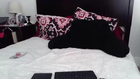 gothbaby305 online show from March 2026 06:59:01 PM