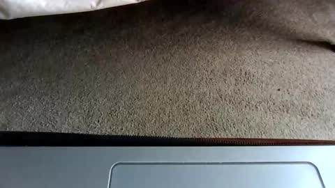 watch me stroke online show from May 2026 08:37:01 PM