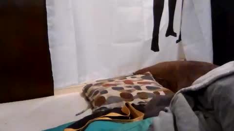 Get US to 1000 you wont be disapointed online show from December 2025 03:23:02 AM